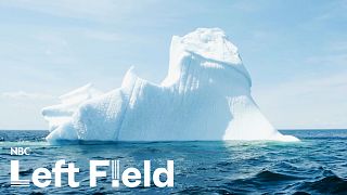 'Iceberg tourism': Newfoundland's new-found livelihood