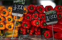 آیا ارزش غذایی فلفل‌های رنگی یکسان است؟