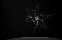 Aufräumerfolg im All: Europäer fangen zum ersten Mal Weltraumschrott