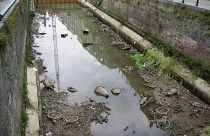 الحكومة الصينية تخصص 88 مليون دولار لبعض مدنها لمكافحة تلوث الأنهار