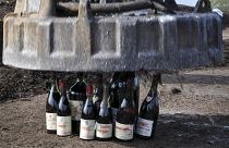 Photo prétexte rapport de l'OMS contre consommation d'alcool.