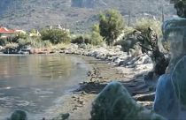 «Αραχνοφοβία» στο Αιτωλικό