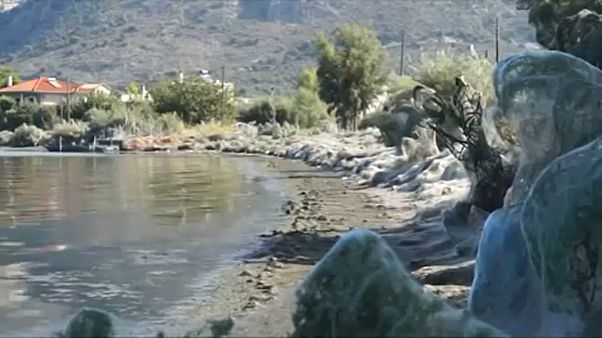 Grecia: una ragnatela di 300 metri avvolge la spiaggia Grecia: una ragnatela di 300 metri avvolge la spiaggia