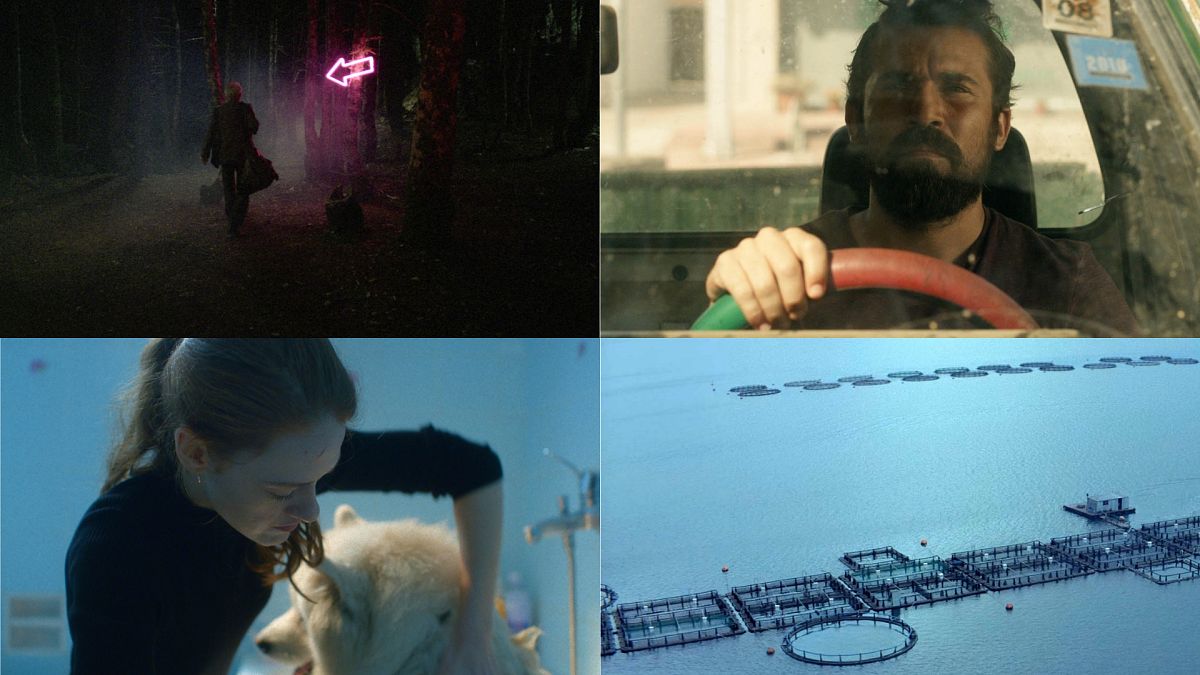 41ο Φεστιβάλ Δράμας: Οι ελληνικές ταινίες που ξεχωρίσαμε