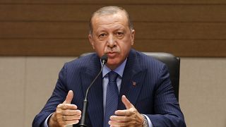 Erdoğan: Devlete karşı işlenen suçlar için af yetkisi olabilir
