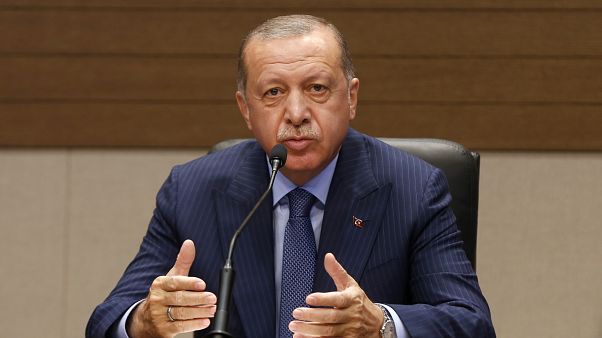 Erdoğan: Devlete karşı işlenen suçlar için af yetkisi olabilir Erdoğan: Devlete karşı işlenen suçlar için af yetkisi olabilir