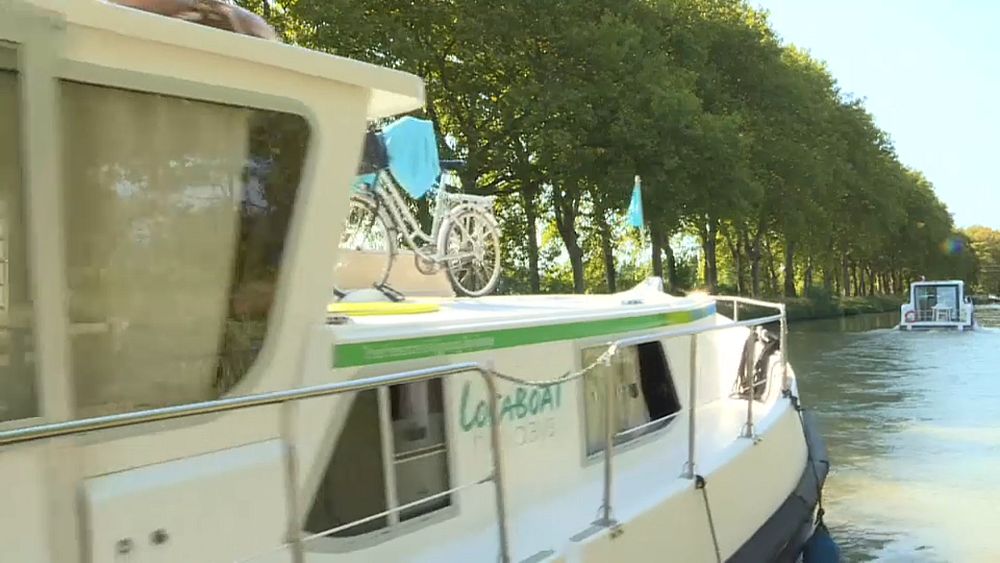 France : le Canal du Midi bientôt sans platanes ?