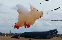 Fliegende Schweine und Teddys am Berliner Himmel