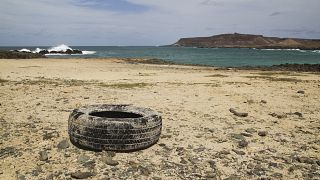 Fransa: 40 yıl önce biyoçeşitliliği artırmak için denize atılan lastikler toplanıyor