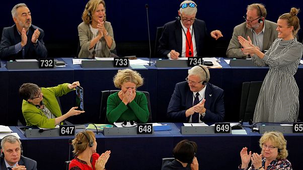 Az ET beavatkozását kéri Sargentini Az ET beavatkozását kéri Sargentini