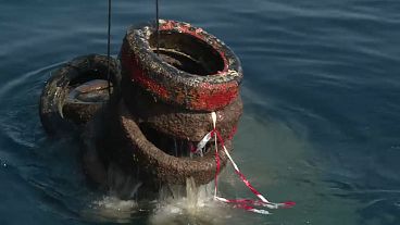 22 mil pneus para pescar no sul de França