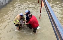 Deer trapped in flooded building site rescued by Kentucky firefighters