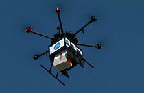 Watch: Pie in the sky? Iceland embraces growing drone delivery service