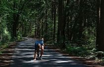 Anti-migrant graffiti prompts photographer to walk 1,900km from Wales to Poland