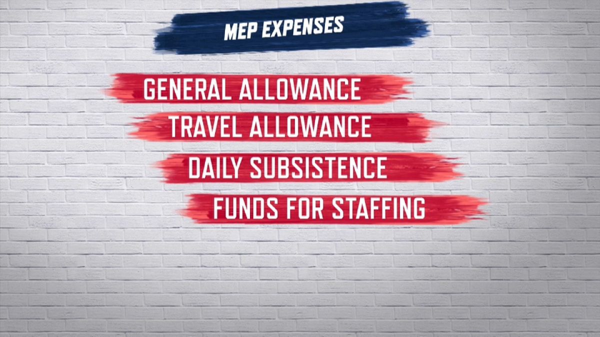 Raw Politics: MEPs expenses to remain secret, says Court of Justice