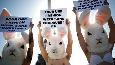 Pariser Modewoche: Peta-Aktivisten fordern pelzfreie Laufstege