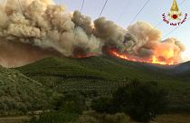 Fire on Monte Serra in the province of Pisa