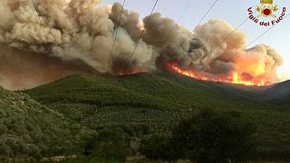 Fire on Monte Serra in the province of Pisa