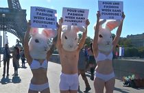 «هفته مد پاریس را بدون پوست حیوانان برگزار کنید»