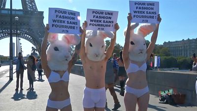 شاهد : ناشطون في حقوق الحيوان يتظاهرون ضد استخدام الفرو في دور الأزياء الباريسية