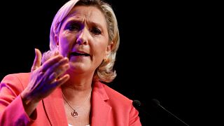 Részben pénzéhez jutott Le Pen pártja