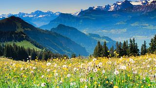 Switzerland is a landlocked alpine country.