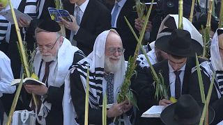 Miles de judíos celebran la festividad de Sucot