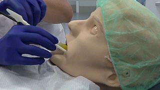 Student dentists get their teeth into hyper-realistic practice dummy