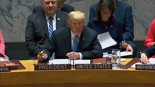 Китай вмешивается в выборы в конгресс США — Трамп Китай вмешивается в выборы в конгресс США — Трамп