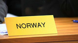 The Norway model — Europe bit by bit but not membership 