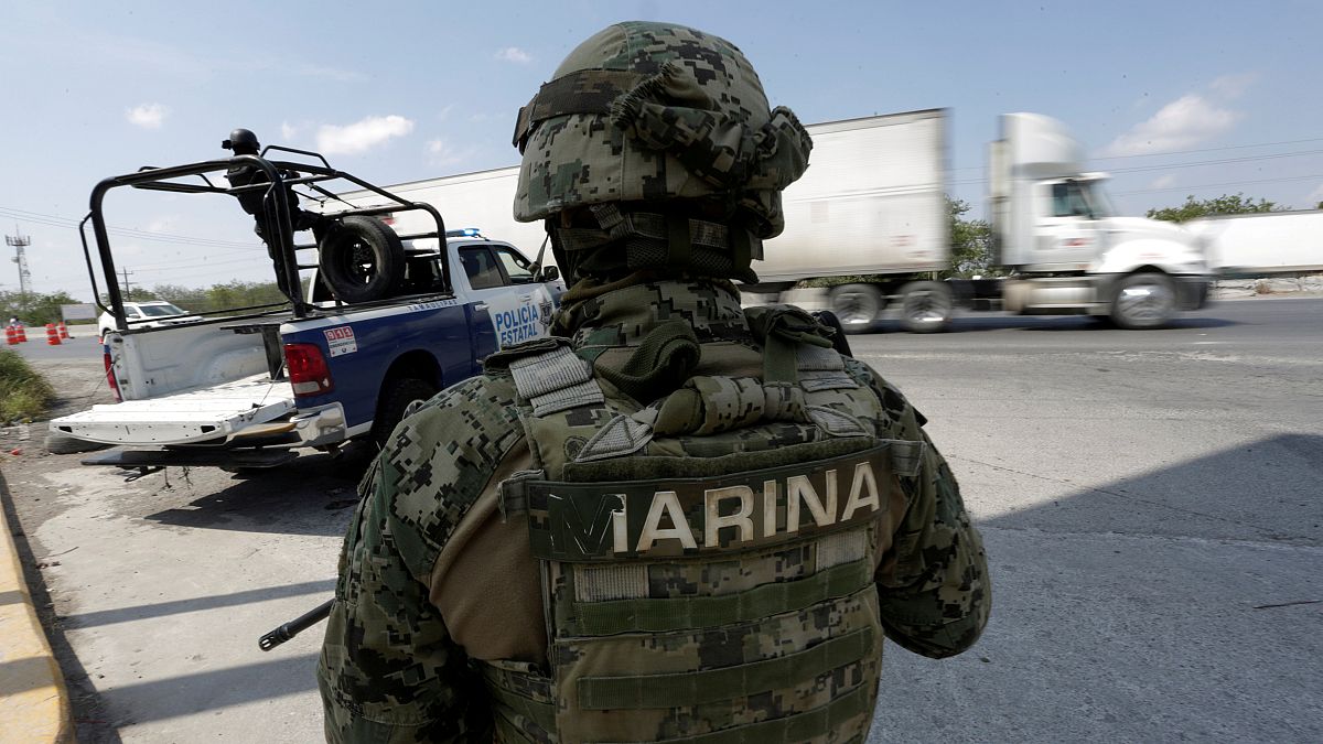 Meksika'da ordu polisin silah ve telsizine el koydu
