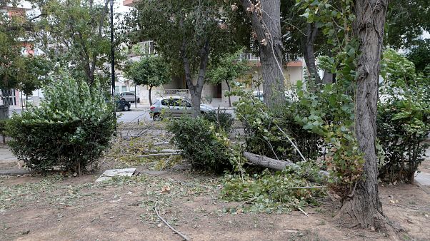 Σπασμένα κλαδιά δέντρων στο Πάρκο του Μπαρουτάδικου στο Αιγάλεω Σπασμένα κλαδιά δέντρων στο Πάρκο του Μπαρουτάδικου στο Αιγάλεω