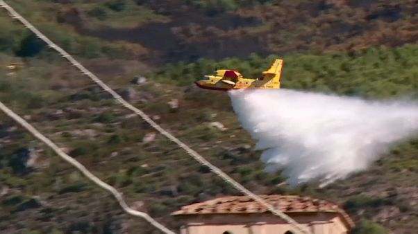 Incendi in Toscana: gli ultimi focolai nel pisano sono stati domati Incendi in Toscana: gli ultimi focolai nel pisano sono stati domati