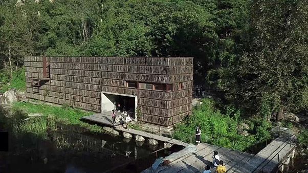 China abre biblioteca na floresta China abre biblioteca na floresta