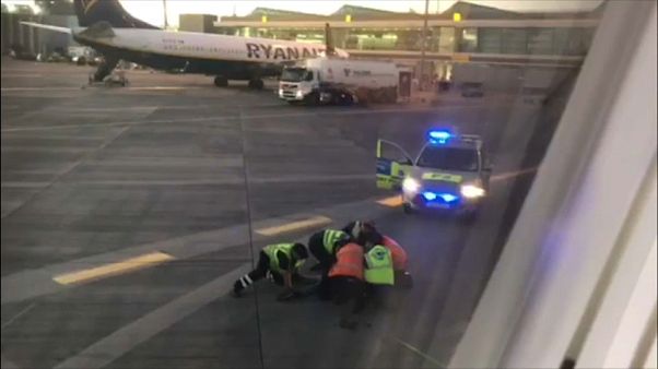 Dublin: Mann jagt seinen Flieger auf dem Rollfeld Dublin: Mann jagt seinen Flieger auf dem Rollfeld
