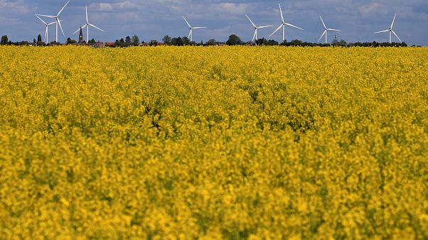 Megújuló energiaforrásból nyeri az EU az áramának a 30 százalékát Megújuló energiaforrásból nyeri az EU az áramának a 30 százalékát
