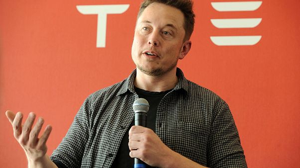 Tesla and Space X founder, Elon Musk Tesla and Space X founder, Elon Musk
