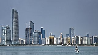 الإمارات تعفي الأطفال تحت 18 عاماً من رسوم التأشيرة خلال فصل الصيف