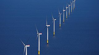 ¿Qué países europeos lideran el sector de la energía renovable?