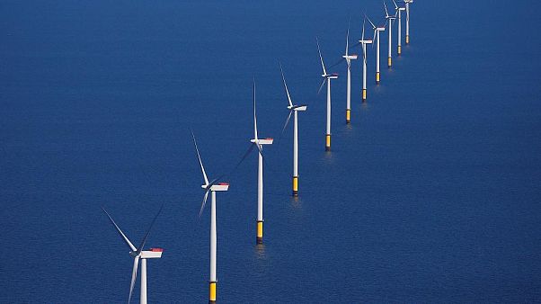 ¿Qué países europeos lideran el sector de la energía renovable? ¿Qué países europeos lideran el sector de la energía renovable?