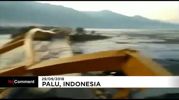 Tragedia y destrucción en Indonesia Tragedia y destrucción en Indonesia