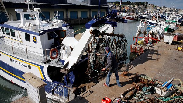 Ouverture de la pêche à la coquille Saint Jacques dans un climat apaisé Ouverture de la pêche à la coquille Saint Jacques dans un climat apaisé