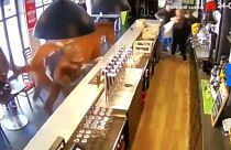 [vidéo] Un cheval de l'hippodrome de Chantilly s'entraîne dans un bar