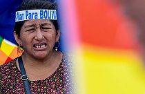 Perché Cile e Bolivia litigano da oltre cent'anni per l'accesso al mare?