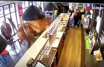 Un caballo entra al galope en un bar ante la mirada atónita de los clientes
