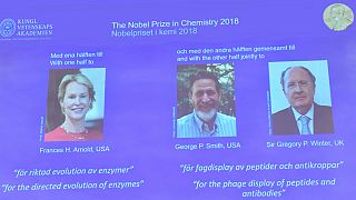 جایزه نوبل شیمی سال ۲۰۱۸ به دو آمریکایی و یک بریتانیایی تعلق گرفت