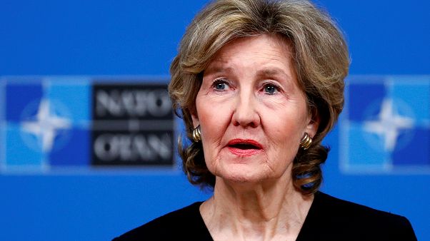 Kay Bailey Hutchison is the US ambassador to NATO. Kay Bailey Hutchison is the US ambassador to NATO.