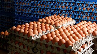İSTYUMDER: Yumurta krizi kapıda ciddi zam gelebilir