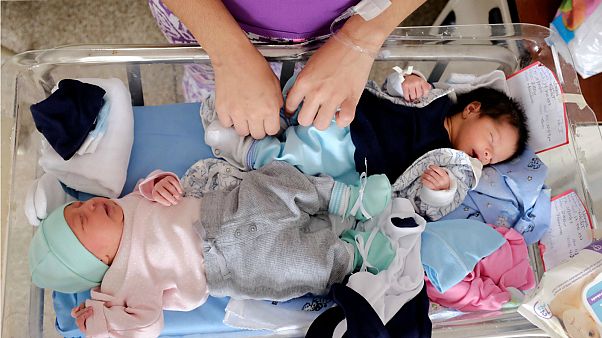 Ekonomik krizdeki Venezuela'da küvez yetersizliğine karşı 'kangru anne' çözümü Ekonomik krizdeki Venezuela'da küvez yetersizliğine karşı 'kangru anne' çözümü