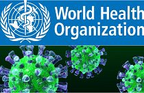 Middle East respiratory syndrome 3-D image/ Scinceside